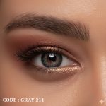 Gray 211